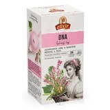 AGROKARPATY DNA bylinný čaj, čistý prírodný produkt 20x2 g (40 g) obrázok