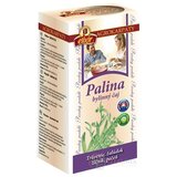 AGROKARPATY PALINA bylinný čaj 20x2 g (40 g) obrázok