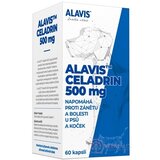 ALAVIS CELADRIN cps pre psy a mačky 1x60 ks obrázok