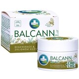 Annabis BALCANN Bio Konopná masť CBD + CBG upokojujúca s dubovou kôrou 1x50 ml obrázok