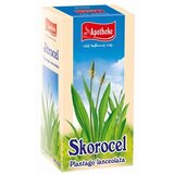 APOTHEKE Skorocel kopijovitý záparové vrecká 20x1,5 g (30 g) obrázok