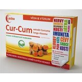 Astina Cur-Cum cps 1x30 ks obrázok