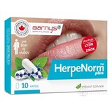 Barny's HerpeNorm plus cps 1x10 ks obrázok