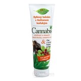BC BIO Cannabis Konský bylinný balzam 1x300 ml obrázok