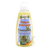 BC BIO Cannabis Šampón proti lupinám 1x260 ml obrázok