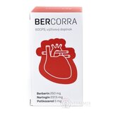 BERCORRA cps 1x60 ks obrázok
