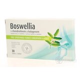 BOSWELLIA s chondroitínom a kolagénom tbl 1x30 ks obrázok