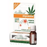 Cannaderm MYCOSIN FORTE sérum kožné plesne 10+2 ml (12 ml) obrázok