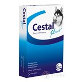 CESTAL PLUS žuvacie tablety pre psy 1x8 ks obrázok