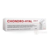 CHONDRO-HYAL intraartikulárny roztok v predplnenej injekčnej striekačke 1x3 ml obrázok