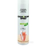 COGNOSCIN SPREJ s vôňou mäty na orientačnú skúšku vitality zubov 1x75 ml obrázok