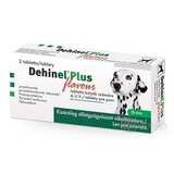 DEHINEL PLUS FLAVOUR tbl 1x2 ks obrázok