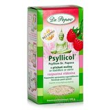 DR. POPOV PSYLLICOL MALINA rozpustná vláknina 1x100 g obrázok