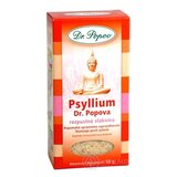 DR. POPOV PSYLLIUM rozpustná vláknina 1x50 g obrázok