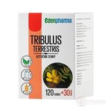 EDENPharma TRIBULUS tbl 120+30 zadarmo (150 ks) obrázok