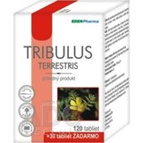 EDENPharma TRIBULUS tbl 120+30 zadarmo (150 ks) obrázok