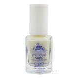 FOUR SEASONS LAK SPEVŇOVAČ NECHTOV 1x12 ml obrázok