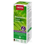 Fructolax Ovocie a vláknina SIRUP (príchuť jablka) 1x250 ml obrázok