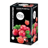 FYTO BRUSNICA & GUARANA ovocno-bylinný čaj 20x2 g (40 g) obrázok