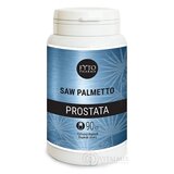 FYTO SAW PALMETTO PROSTATA cps 1x90 ks obrázok