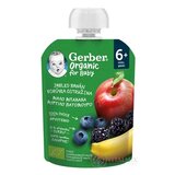 Gerber Organic Kapsička Jablko, banán, čučoriedka bio ovocná desiata (od ukonč. 6. mesiaca) 1x90 g obrázok
