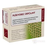HANUS PUŠKVOREC OBYČAJNY KOREŇ vákuové bal. 1x70 g obrázok