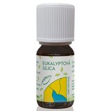 HANUS SILICA EUKALYPTOVÁ ole 1x10 ml obrázok