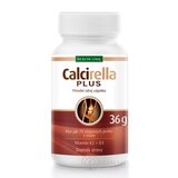 Health Link CALCIRELLA PLUS cps 1x60 ks obrázok