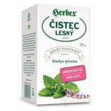 HERBEX ČISTEC lesný sypaný čaj 1x50 g obrázok