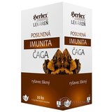 HERBEX Lekáreň Posilnená imunita ČAGA nálevové vrecúška 20x3 g (60 g) obrázok