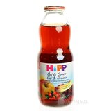 HiPP Čaj&Ovocie, Šípkový čaj a šťava z červ.plodov (od ukonč. 4. mesiaca) 1x500 ml obrázok