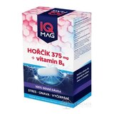 IQ MAG HORČÍK 375 mg + Vitamín B6 cps 1x60 ks obrázok