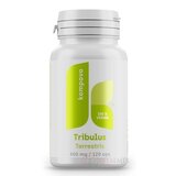 kompava TRIBULUS TERRESTRIS cps 1x120 ks obrázok
