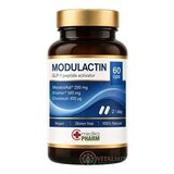 MODULACTIN cps 1x60  ks obrázok