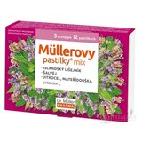 Müllerove pastilky MIX 3 druhy po 12 ks, 1x36 ks obrázok