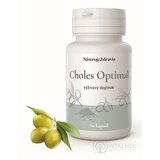 NástrojeZdravia CHOLES Optimal cps 1x60 ks obrázok