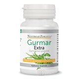 NástrojeZdravia GURMAR EXTRA GYMNEMA SYLVESTRE cps 1x60 ks obrázok