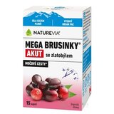 NATUREVIA MEGA BRUSNICE AKUT so zlatobyľou cps (inov.2026) 1x15 ks obrázok