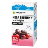 NATUREVIA MEGA BRUSNICE so zlatobyľou cps (20% zdarma) (inov.2026) 1x60 ks obrázok