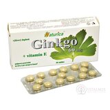 Naturica GINKGO 60 mg + vitamín E tbl 1x30 ks obrázok