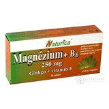 Naturica MAGNEZIUM 250 mg+B6+Ginkgo+vitamín E tbl 1x30 ks obrázok