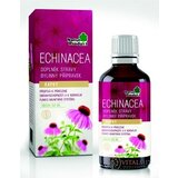 NaturProdukt ECHINACEA kvapky 1x50 ml obrázok