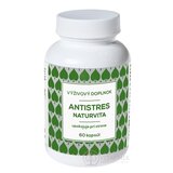 NATURVITA ANTISTRES cps 1x60 ks obrázok