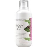 PEGGY ARTRO GÉL 1x500 g obrázok
