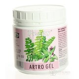 PEGGY ARTRO GÉL 1x500 g obrázok