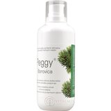 PEGGY GÉL borovicový 1x500 g obrázok