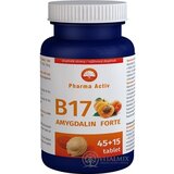 Pharma Activ Amygdalin Forte Vitamín B17 tbl 45+15 zdarma (60 ks) obrázok