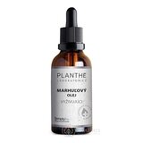 PLANTHÉ Marhuľový olej VYŽIVUJÚCI 1x50 ml obrázok