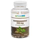 PLUS LEKÁREŇ ASHWAGANDHA 500 mg Withania opojná cps 1x90 ks obrázok