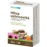 PLUS LEKÁREN Hliva ustricovitá cps (+ Echinacea + rakytník + selén + zinok) 1x60 ks obrázok